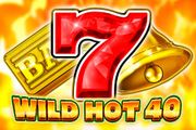 Wild Hot 40