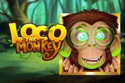 Loco the Monkey