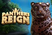 Panthers Reign